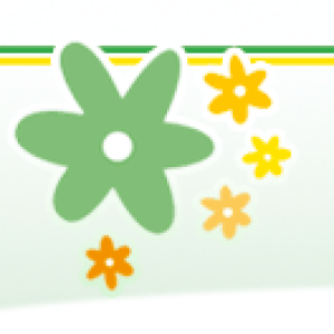 Picture of Python-Training